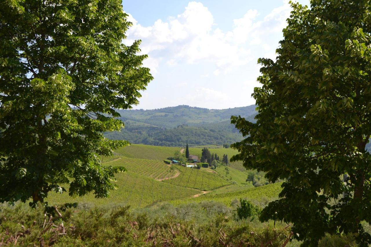 Terre Di Melazzano - Le Case Di Chiara Greve in Chianti Dış mekan fotoğraf